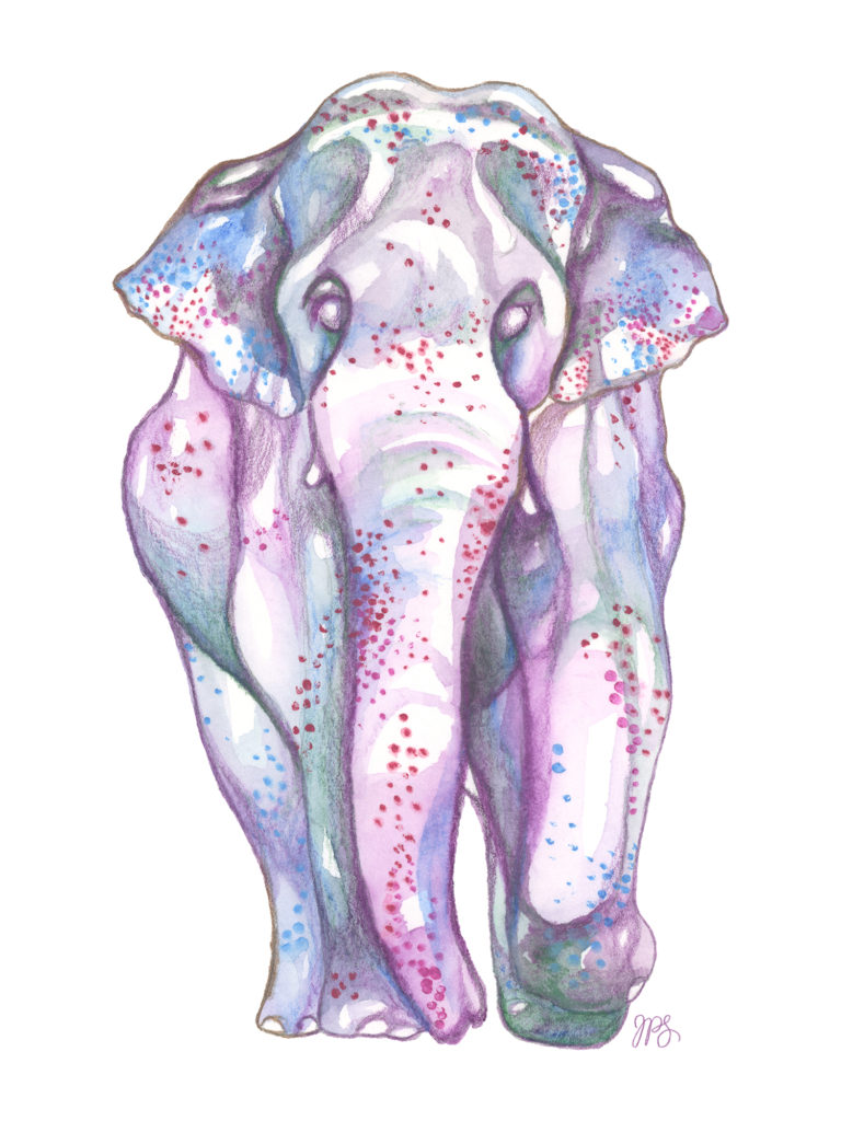"Elephant" Watercolour on paper, 2019. Original SOLD. Prints Available.