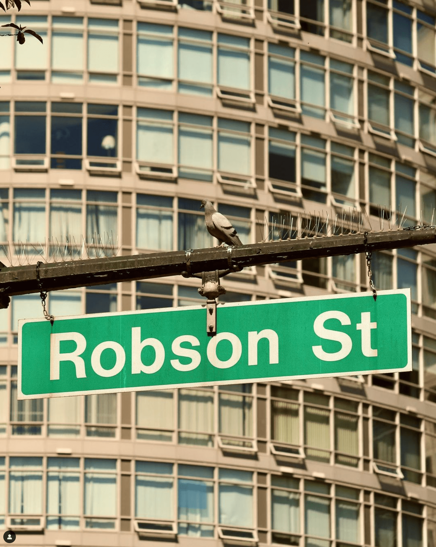 RobsonStreetMarket